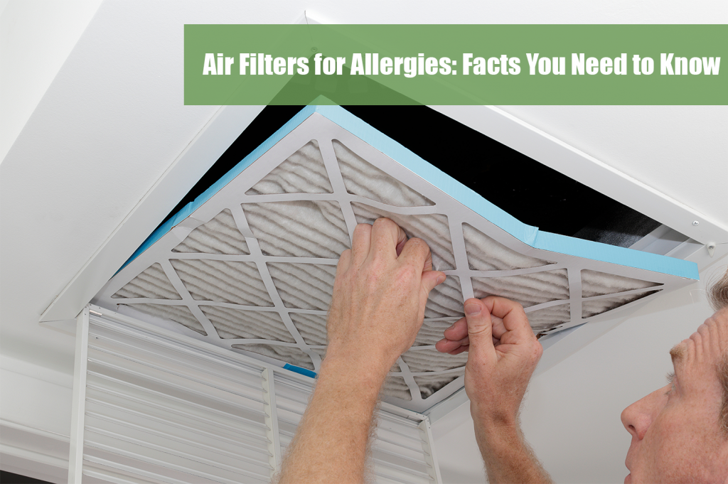 Air Filters for Allergies Facts You Need to Know Comfort World Air