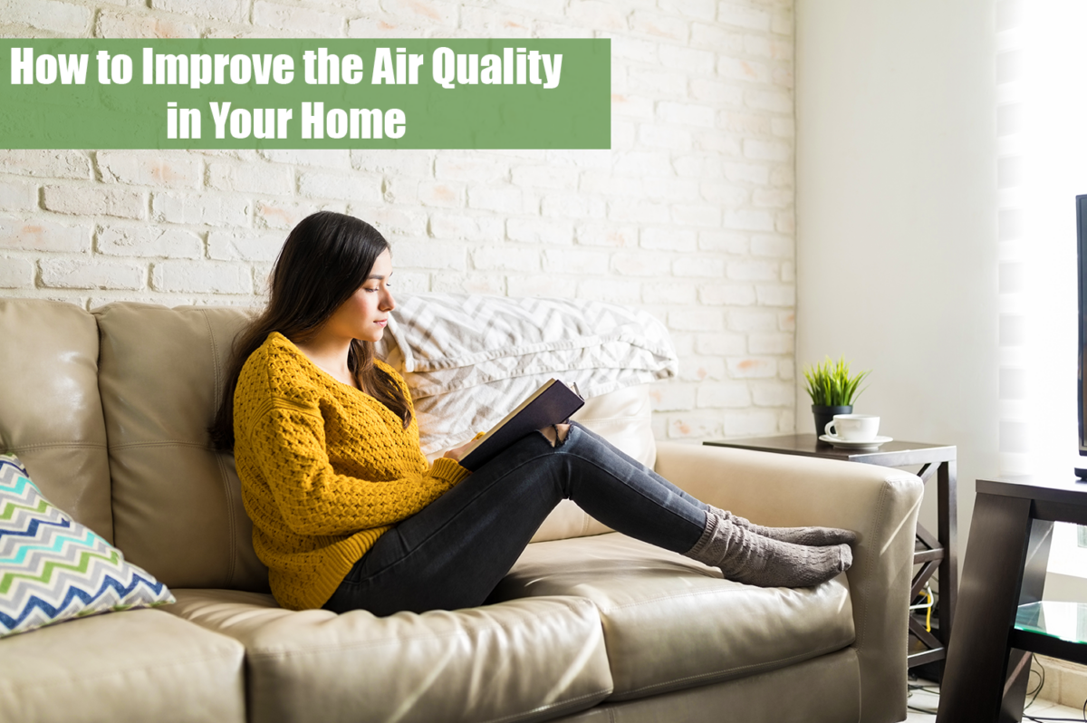 How to Improve the Air Quality in Your Home