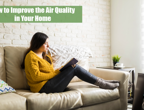 How to Improve the Air Quality in Your Home